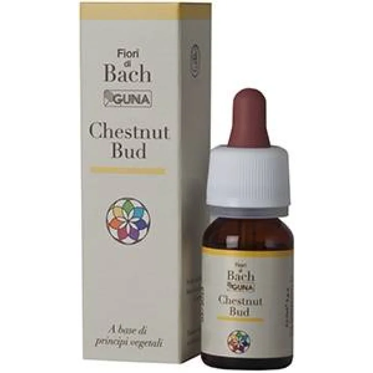 Guna Fiori di Bach Chestnut Bud Spontaneità Apprendimento