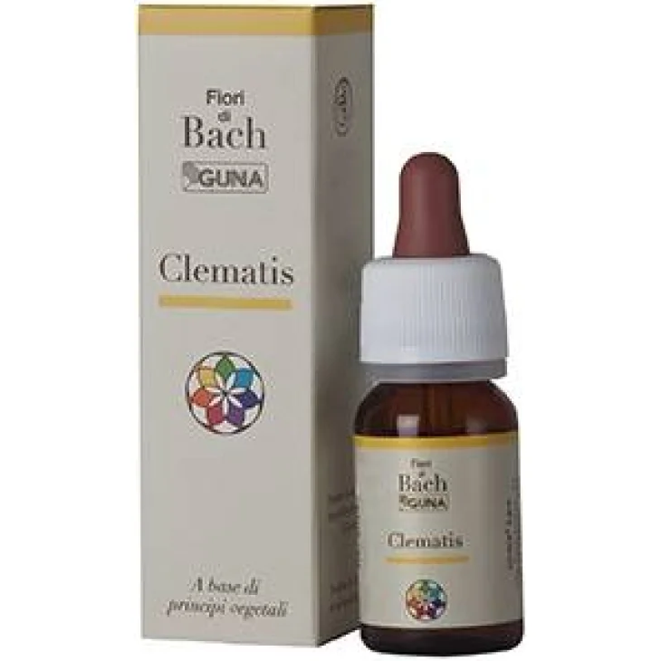 Guna Fiori di Bach Clematis Creatività Presenza