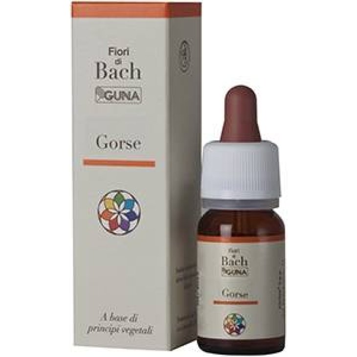Guna Fiori di Bach Gorse Accoglimento Speranza