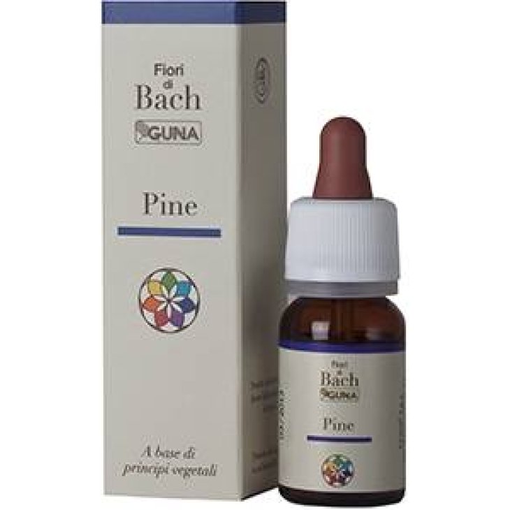 Guna Fiori di Bach Pine Responsabilità Perdono