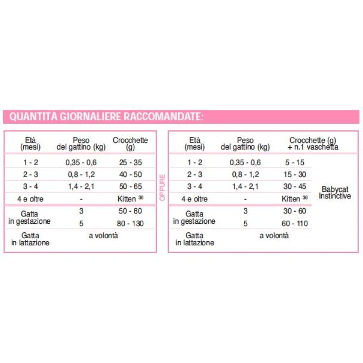 Royal Canin Mother & Babycat Cibo Secco per Gattini fino a 4 Mesi 2 kg