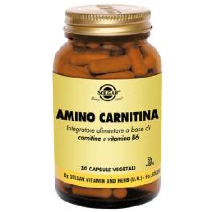 Solgar Amino Carnitina Integratore con Vitamina B6 30 capsule
