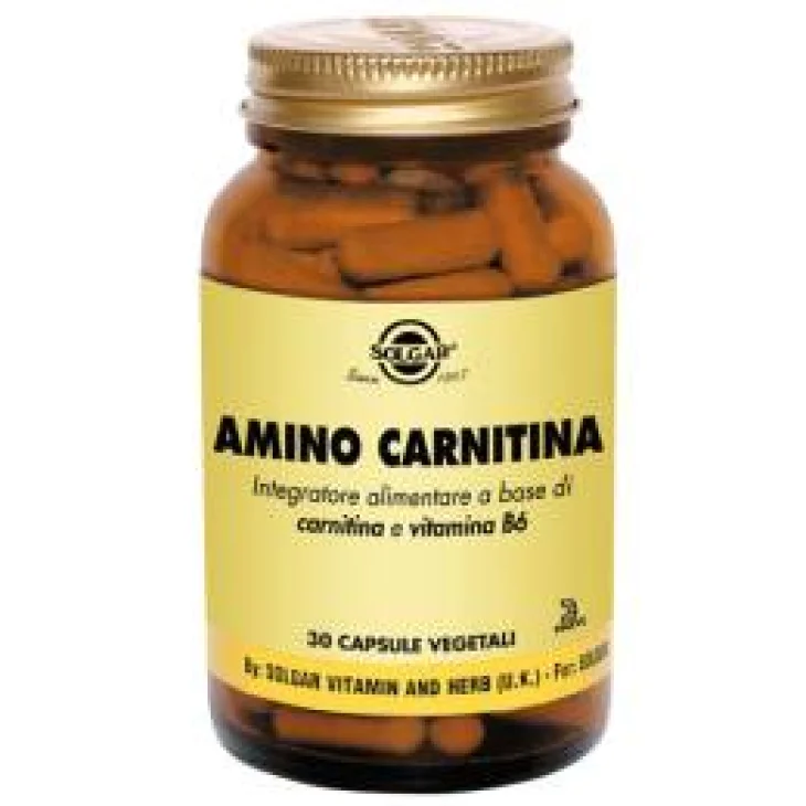 Solgar Amino Carnitina Integratore con Vitamina B6 30 capsule