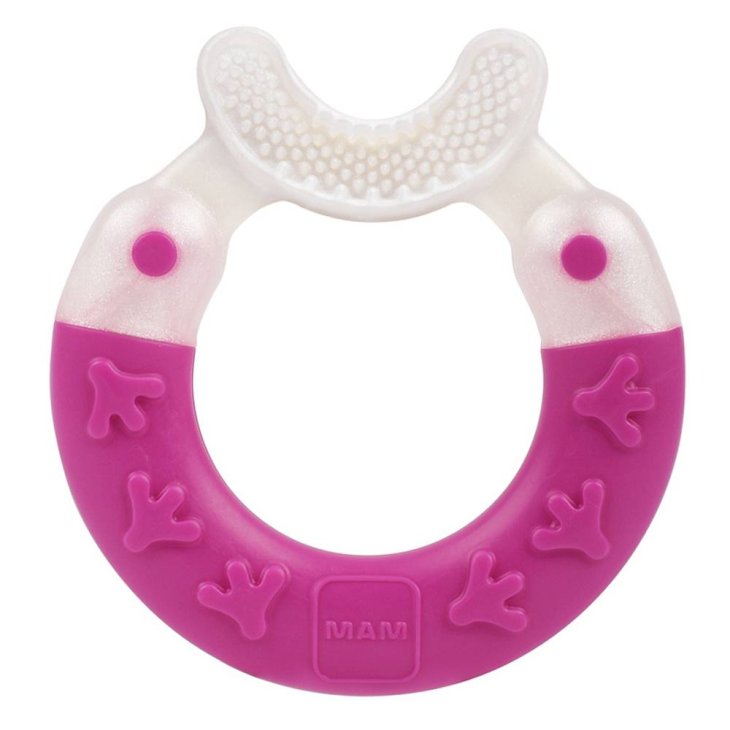 Mam Bite & Brush Dentaruolo 3 Mesi Igiene Orale Bebè 1 pezzo
