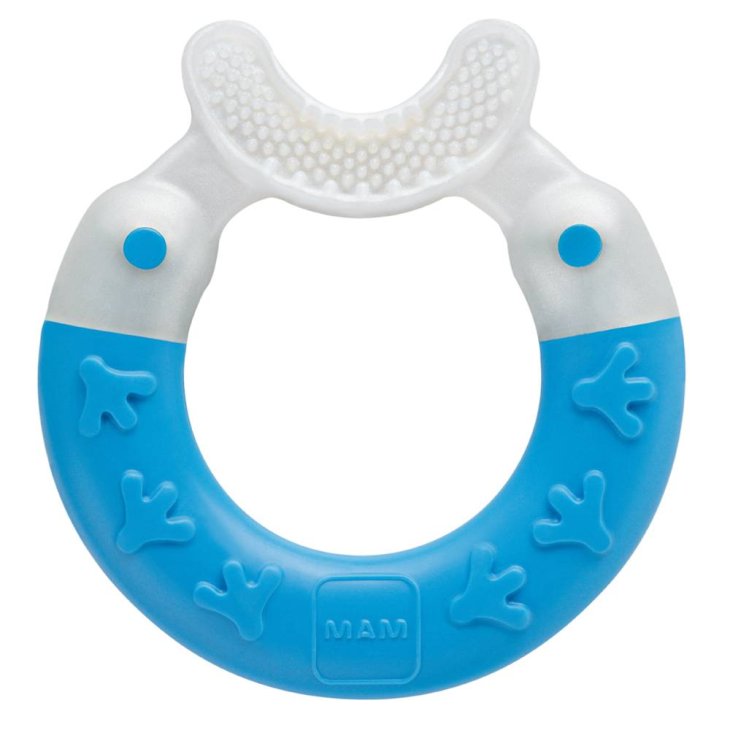 Mam Bite & Brush Dentaruolo 3 Mesi Igiene Orale Bebè 1 pezzo