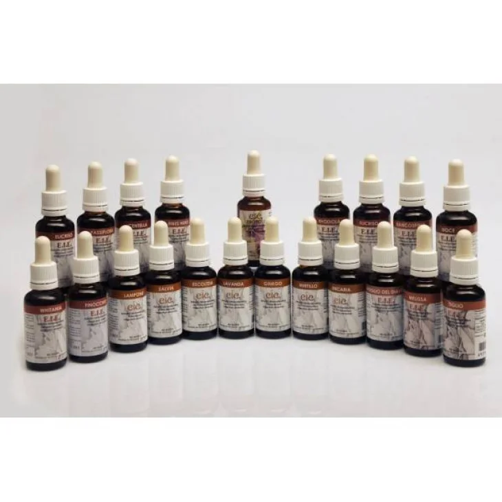 Adama E.I.E. Finocchio Estratto Idroenzimatico Integratore Alimentare per la Digestione