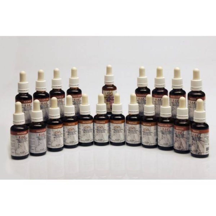 Adama E.I.E. Mirtillo Estratto Idroenzimatico Integratore Alimentare Antiossidante per la Vista la Digestione e le Vie Urinarie