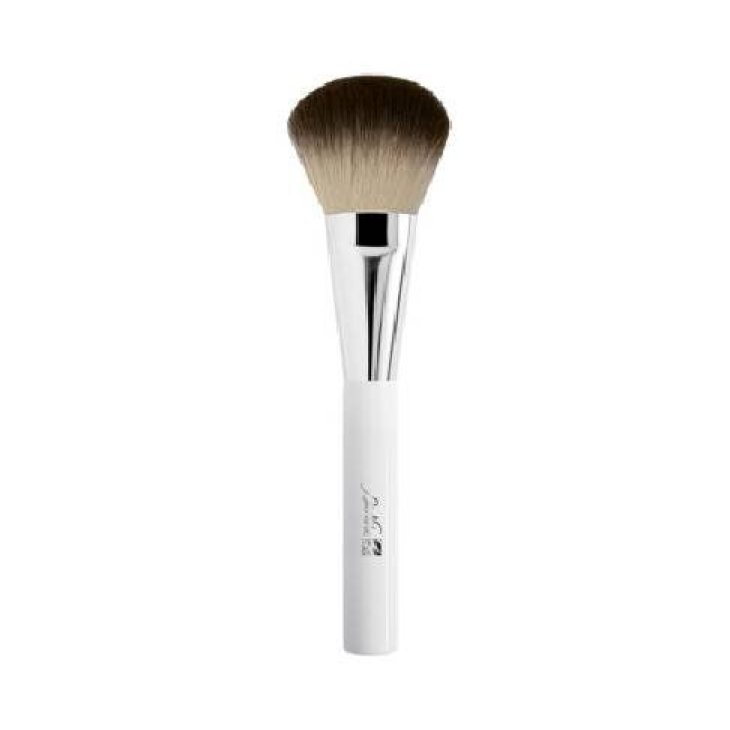 BioNike Defence Color Maxi Terra Pennello per Trucco