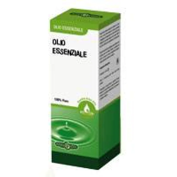 Erba Vita Rosmarino Olio Essenziale Integratore Depurativo