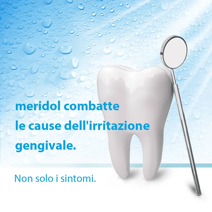 Meridol Clorexidina Collutorio 300 ml