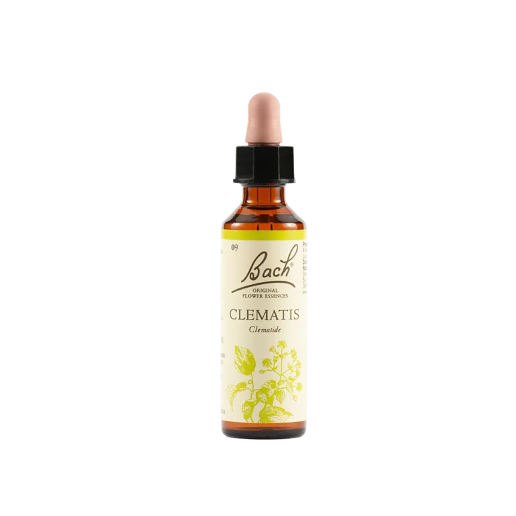 Schwabe Pharma Clematis Fiore di Bach "Rapporto realistico con la Creatività" 20 ml