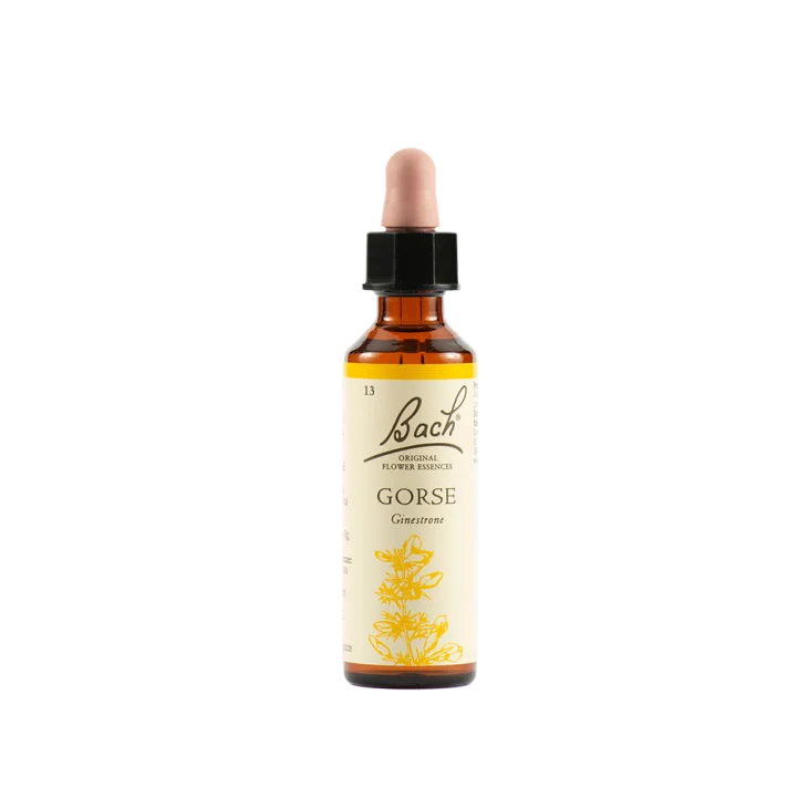 Schwabe Pharma Gorse Fiore di Bach "Speranza nel Meglio" 20 ml