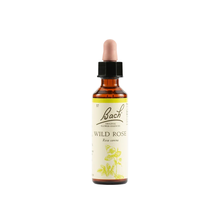 Schwabe Pharma Wild Rose Fiore di Bach "Gioia per la Vita" 20 ml