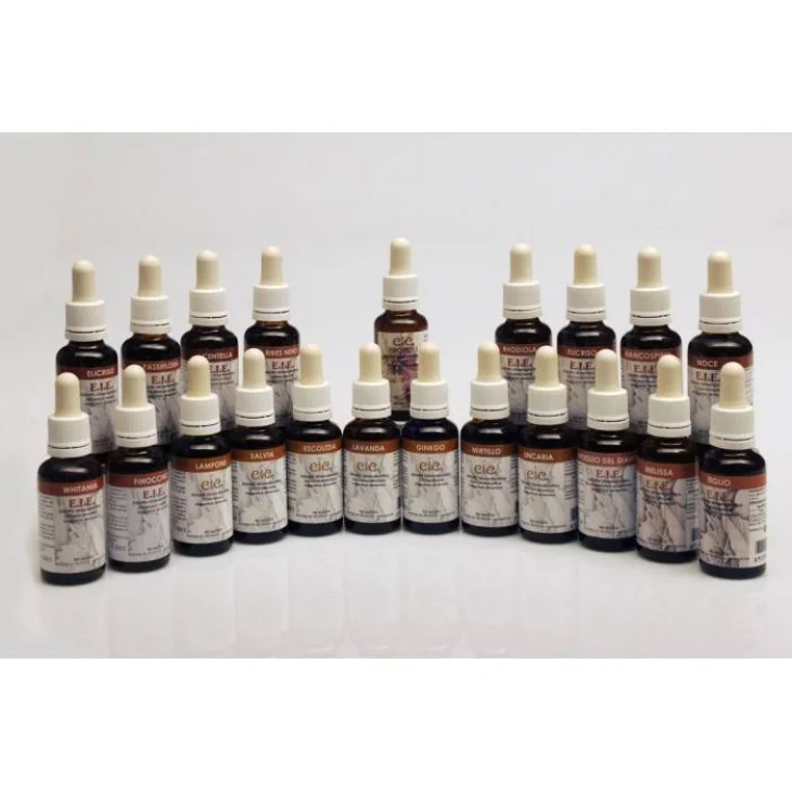 Adama E.I.E. Astragalo Estratto Idroenzimatico Integratore Alimentare per Sistema Immunitario