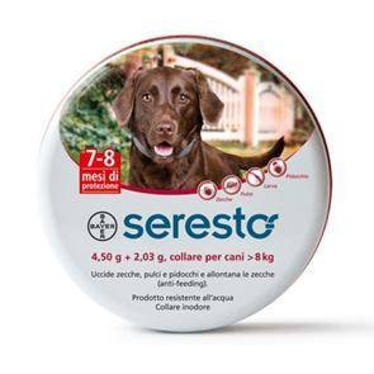 Bayer Seresto Collare antiparassitario per cani oltre 8 kg