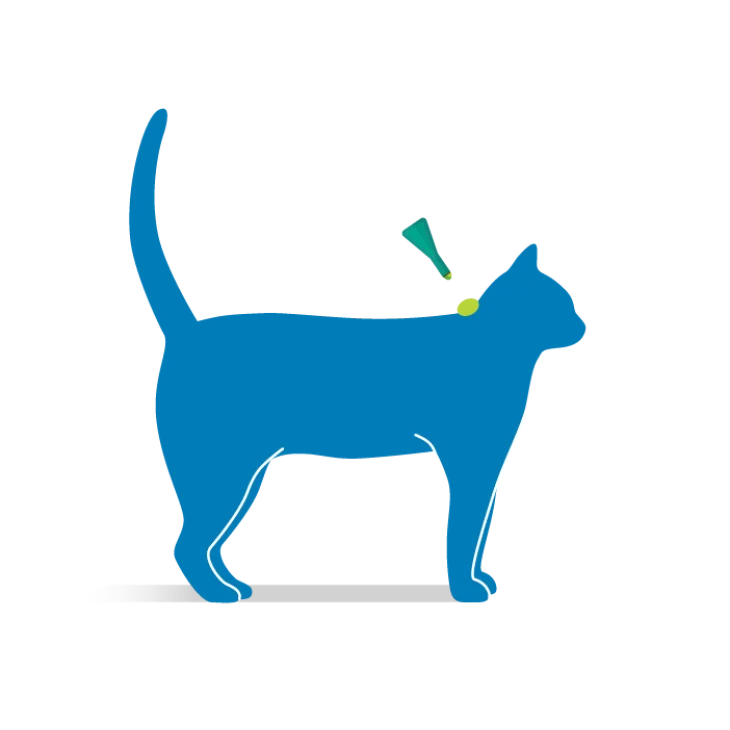 Frontline Combo Spot On Antiparassitario per gatti 3 pipette