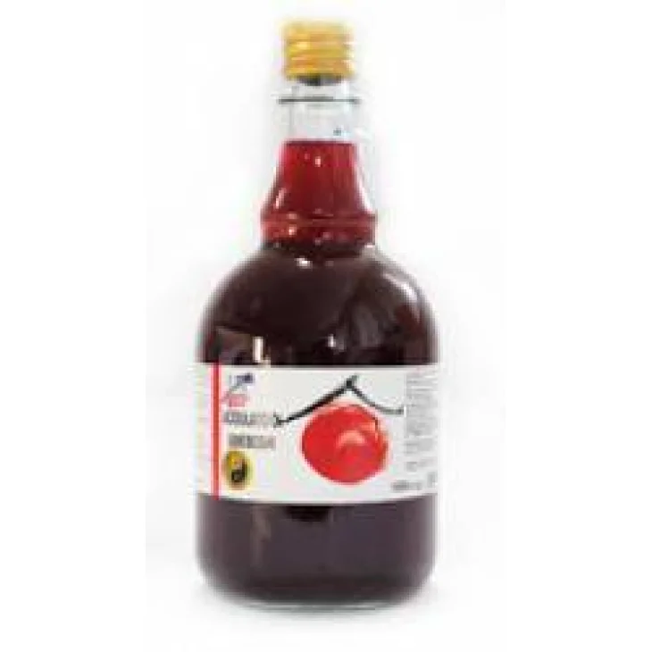 La Finestra sul Cielo Acidulato di Umeboshi Ohindo Aceto Biologico