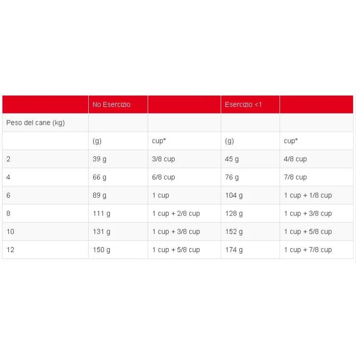 Royal Canin Jack Russell Cibo Secco per cani adulti 1,5 kg