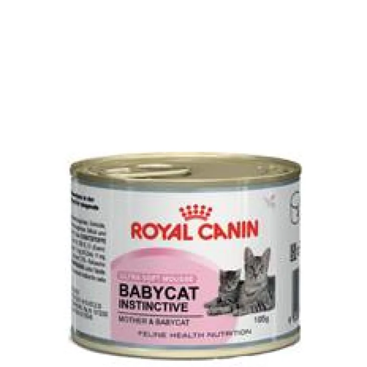 Royal Canin Babycat Instinctive Cibo Umido per Gattini