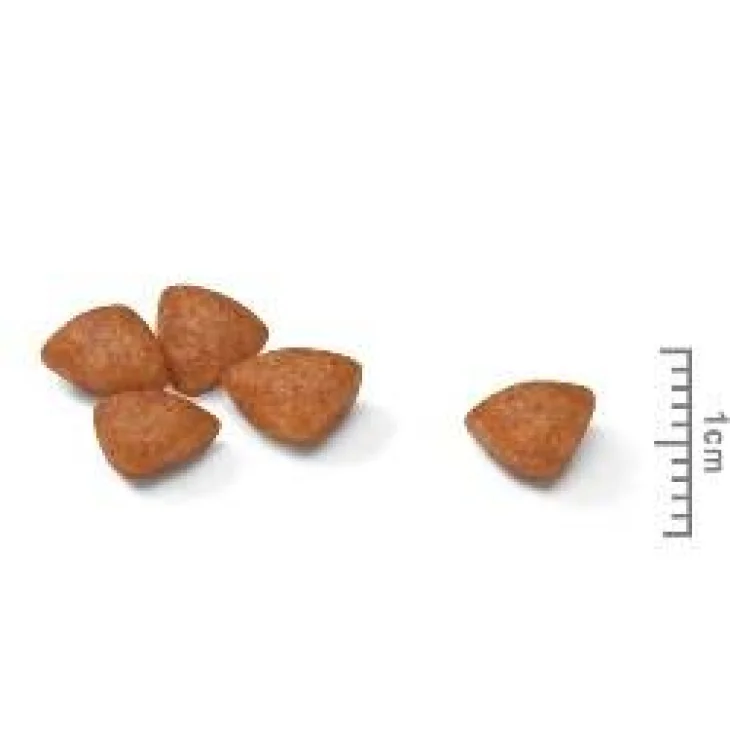Royal Canin Mini Mother&Baby Cibo secco per Mamme e Cuccioli di Cane 1000 g