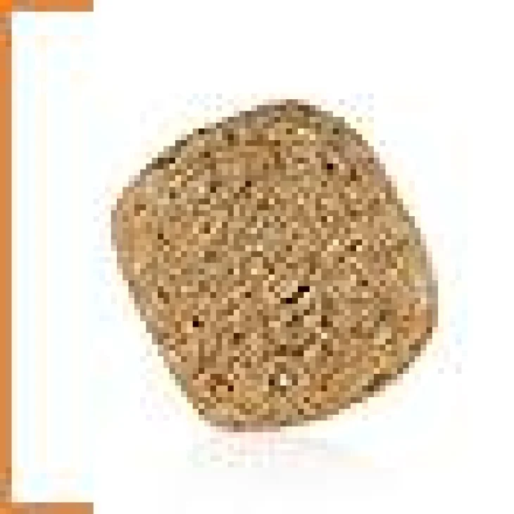 Royal Canin Gastro Intestinal Low Fat Cibo Secco per Cani 1500 g
