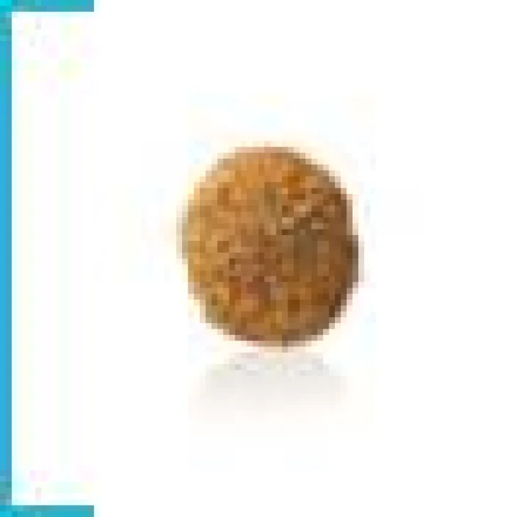 Royal Canin Hypoallergenic Small Dog Cibo secco per cani di piccola taglia
