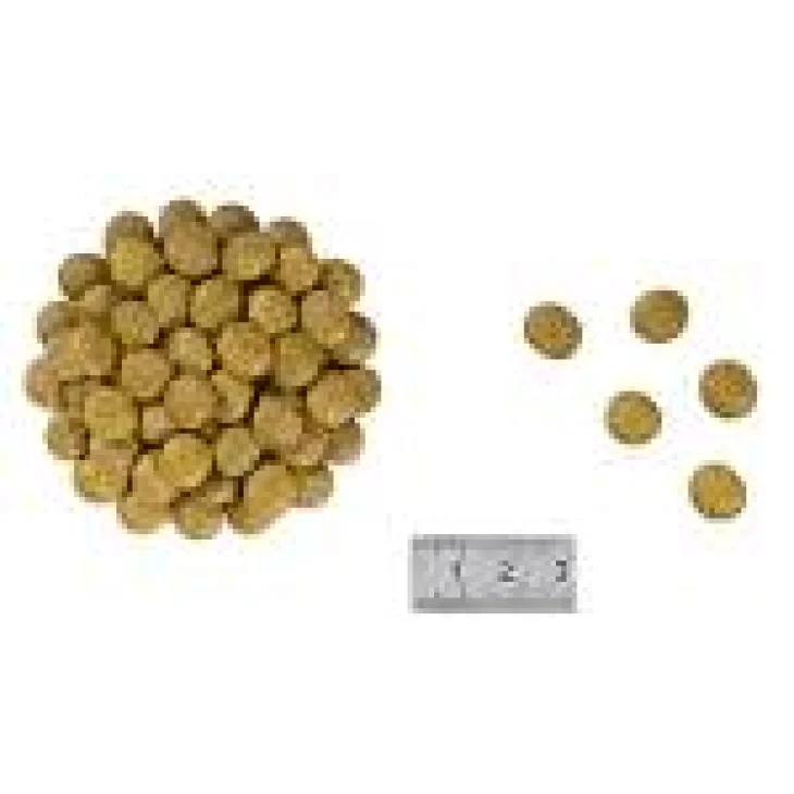 Royal Canin Renal Cibo secco per gatti 2 kg