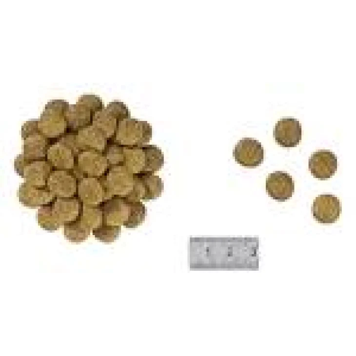 Royal Canin Renal Special Cibo Secco per Gatti