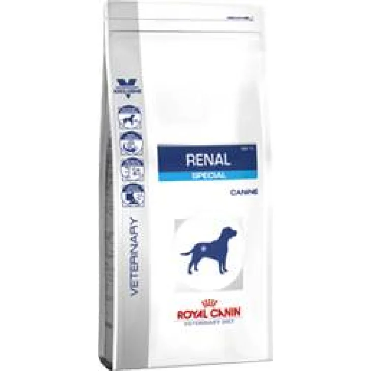 Royal Canin Renal Special Cibo Secco per Gatti