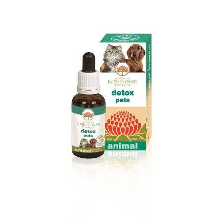 Australian Bush Flower Detox Pets Sollievo Emotivo e Fisico Fiori Australiani per Animali