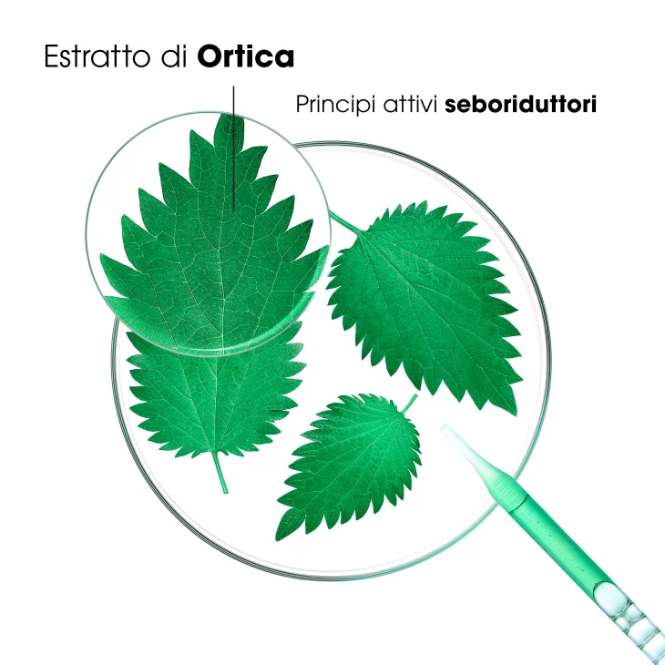 Klorane Shampoo purificante ed equilibrante all'ortica Seboriduttore Capelli grassi 400 ml