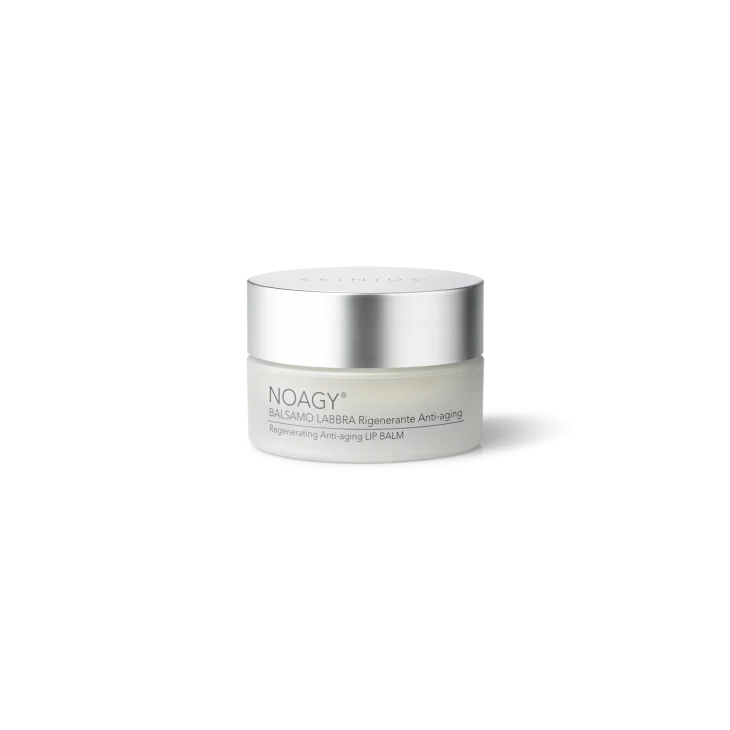 Skinius Noagy Balsamo Labbra Anti-Aging 15 ml
