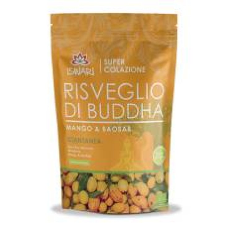 Iswari Risveglio di Buddha Mango e Baobab Biologico Colazione Istantanea 360 g