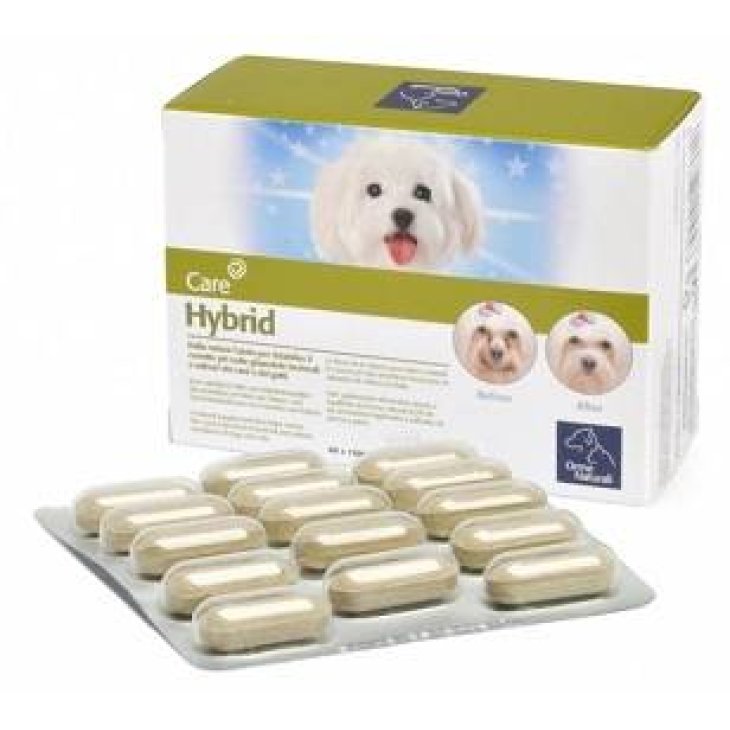 Camon Hybrid Integratore per L'alitosi del cane