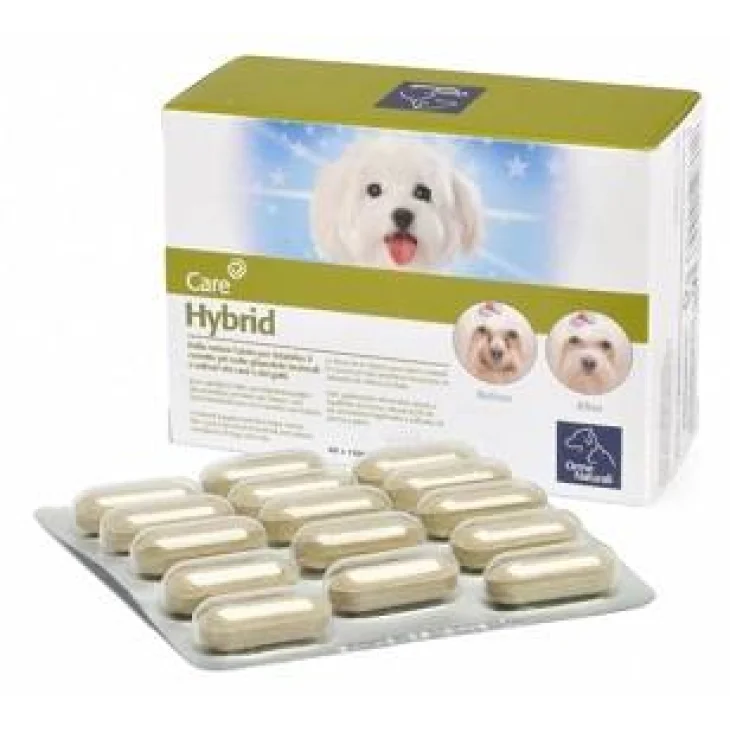 Camon Hybrid Integratore per L'alitosi del cane