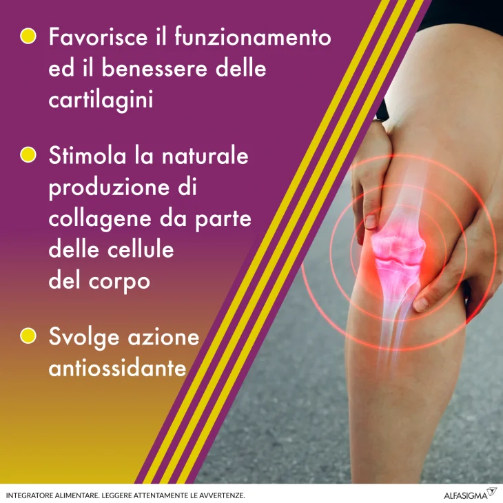 Amedial BF Plus Integratore per le Articolazioni