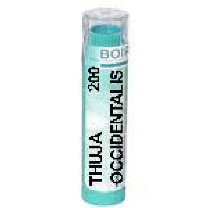 Boiron Thuya Occidentalis 200 CH Globuli