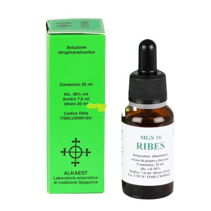Alkaest Ribes Nigrum Macerato Glicerico