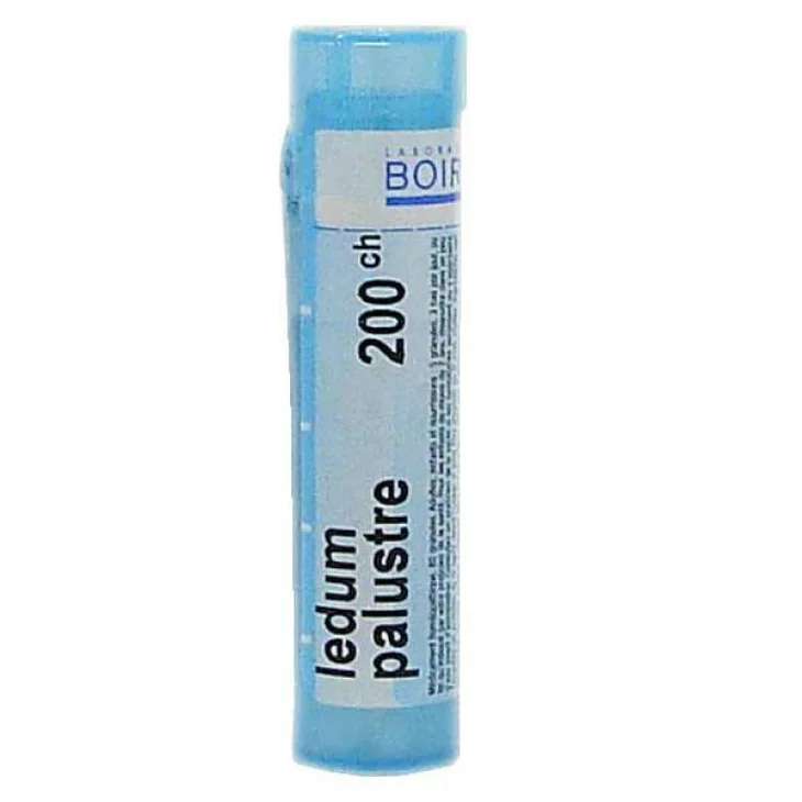 Boiron Ledum Palustre 200 CH Globuli