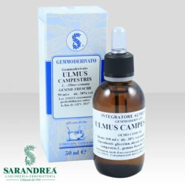 Sarandrea Marco Gemmoderivato Ulmus Campestris