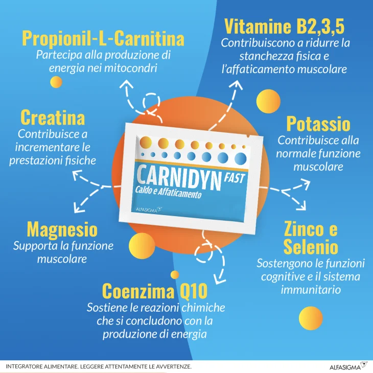 Carnidyn Fast Integratore di Magnesio e Potassio per la Stanchezza Fisica 20 bustine