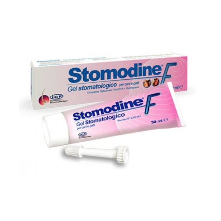 I.C.F. Stomodine F Gel Stomatologico per Cani e Gatti
