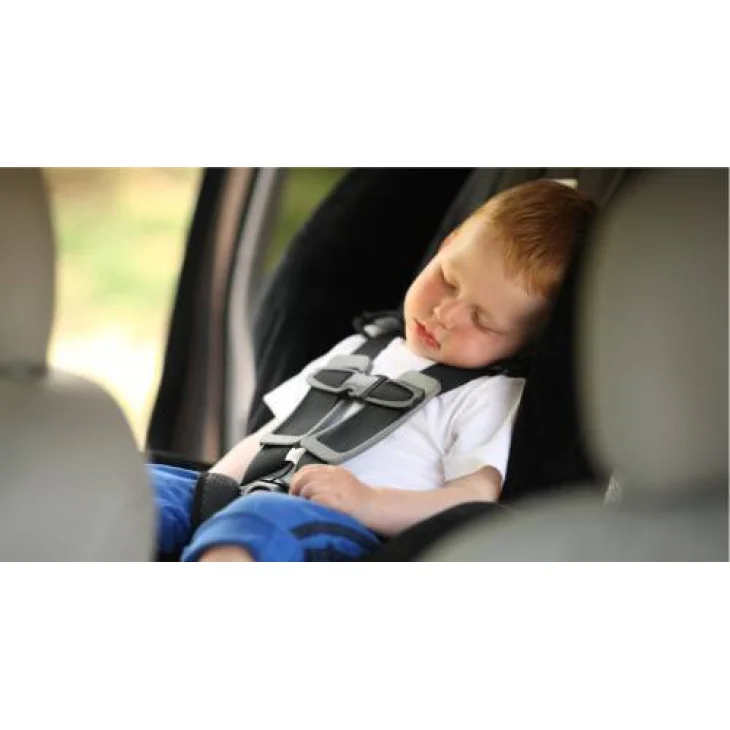 Remmy Car Baby Alert Segnala Bebè in Auto - Standard Singolo