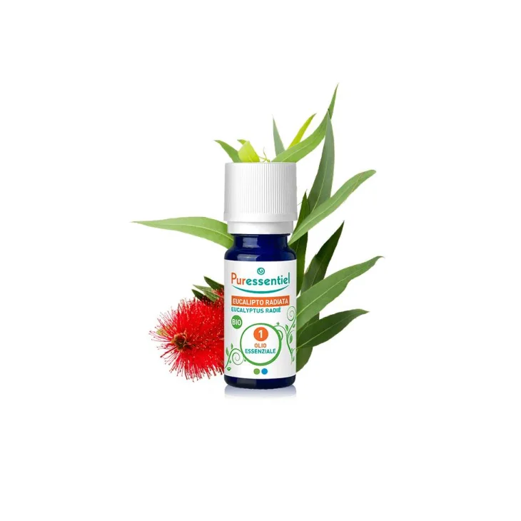 Puressentiel Eucalipto Radiata Olio Essenziale Bio 10 ml