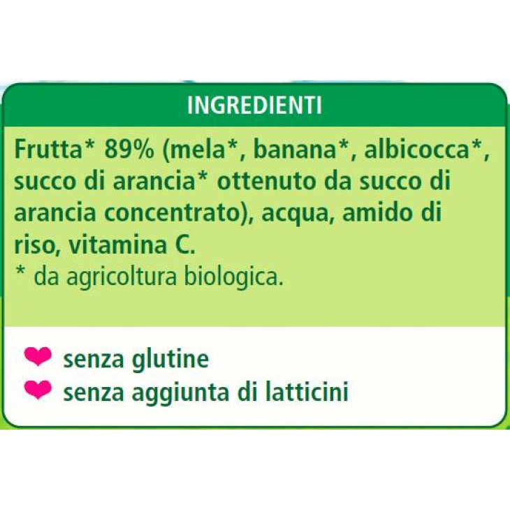 Hipp Bio Omogeneizzato Biologico Frutta Mista 2 x 80 g