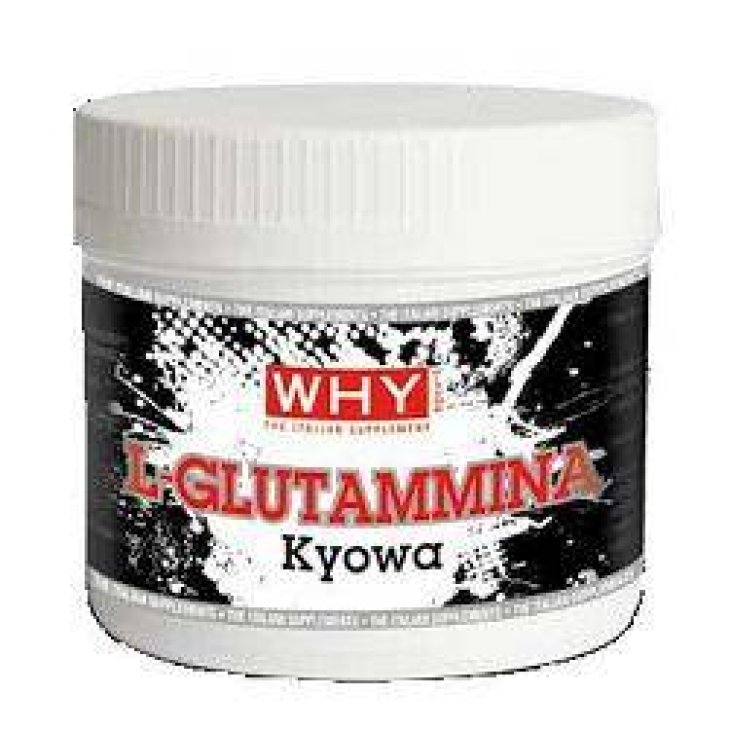 Whysport L-Glutammina Integratore di Aminoacidi per Sportivi 250 g