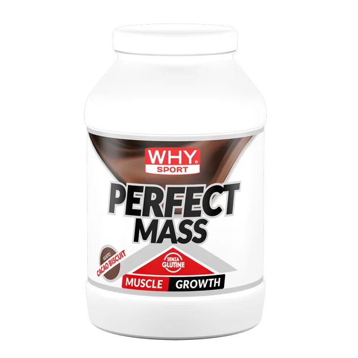 Whysport Perfect Mass Cacao Biscuit Integratore di Proteine 1600 g