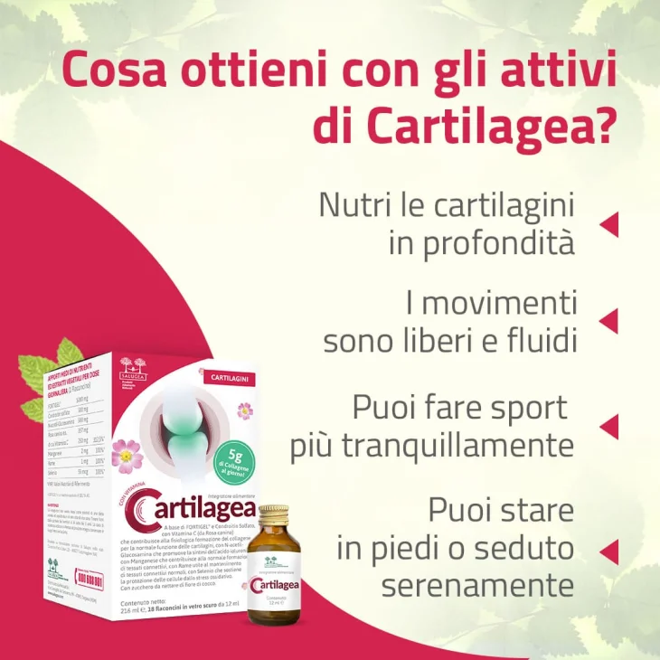 Salugea Cartilagea Integratore per benessere articolare 18 flaconcini da 12 ml