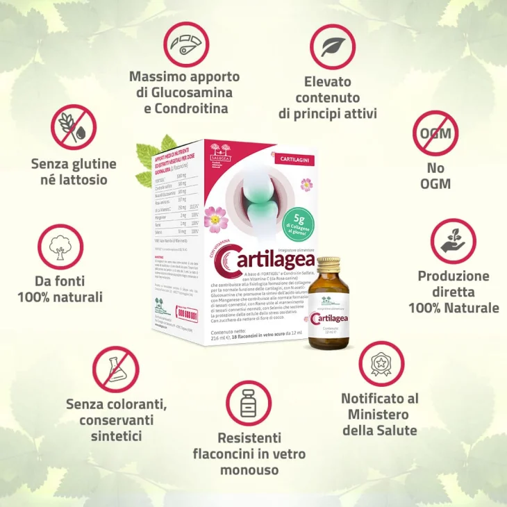 Salugea Cartilagea Integratore per benessere articolare 18 flaconcini da 12 ml
