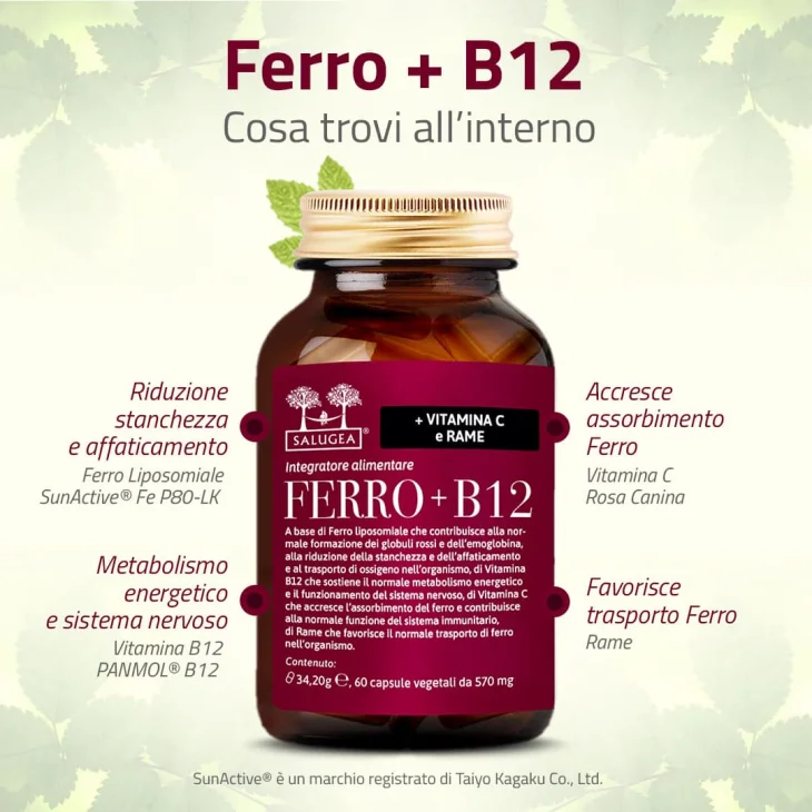 Salugea Ferro + B12 per il sistema nervoso 60 capsule